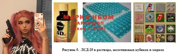 гидра Вяземский