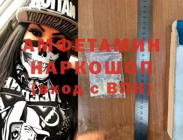 гидра Вяземский