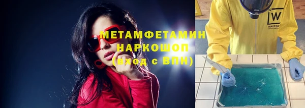 гидра Вяземский