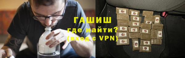 гидра Вяземский