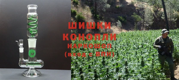 гидра Вяземский