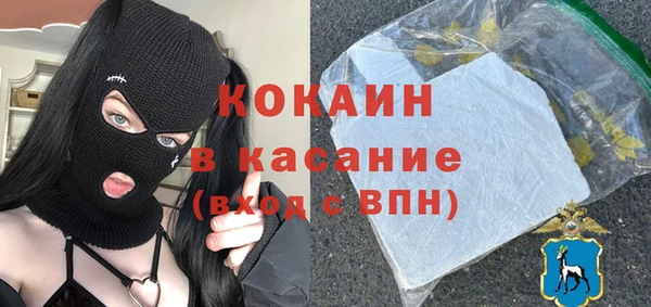 гидра Вяземский