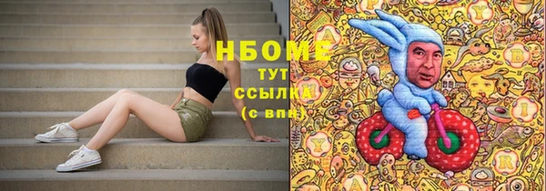 гидра Вяземский