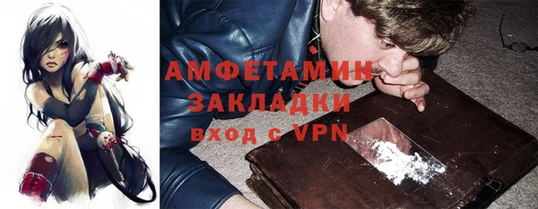 гидра Вяземский