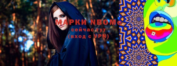 гидра Вяземский