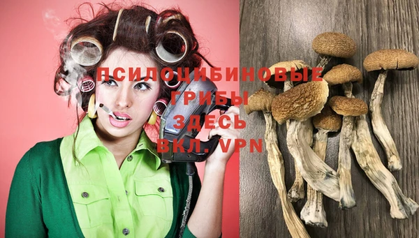гидра Вяземский
