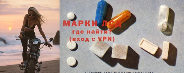 гидра Вяземский