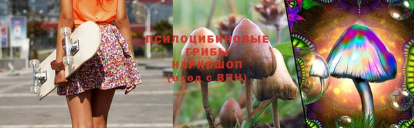 гидра Вяземский