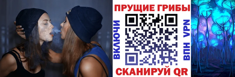 kraken зеркало  наркота  Карачаевск  Галлюциногенные грибы мухоморы 