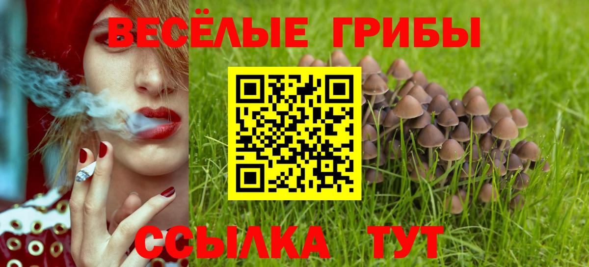 Карачаевск  Псилоцибиновые грибы GOLDEN TEACHER  Вход с VPN  купить  сайты  Псилоцибиновые грибы Psilocybine cubensis 